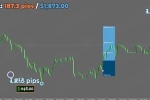 [1420+]半自动工具新标杆,Forex Viking Manager的智能交易体验
