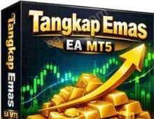 [1420+]平衡性能与安全,Tangkap Emas EA MT5设置文件的匠心设计