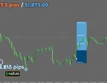 [1420+]半自动工具新标杆,Forex Viking Manager的智能交易体验