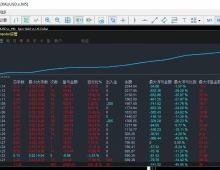 所有EA均经过实盘打磨，配套大量观摩账户公开透明，不吹收益、只给真实可查的策略
